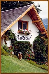 Casa Bellevue en alquiler temporario - Villa llao Llao - Bariloche